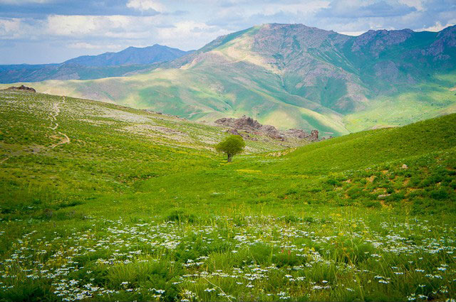 بهترین هتل آرمرده